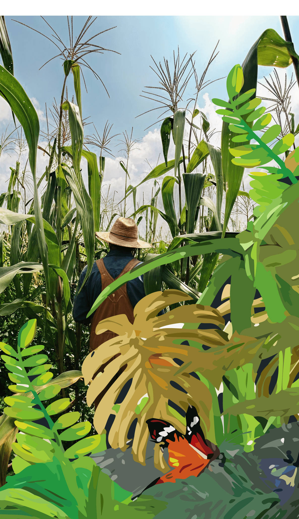 Stronger harvests mobile view
