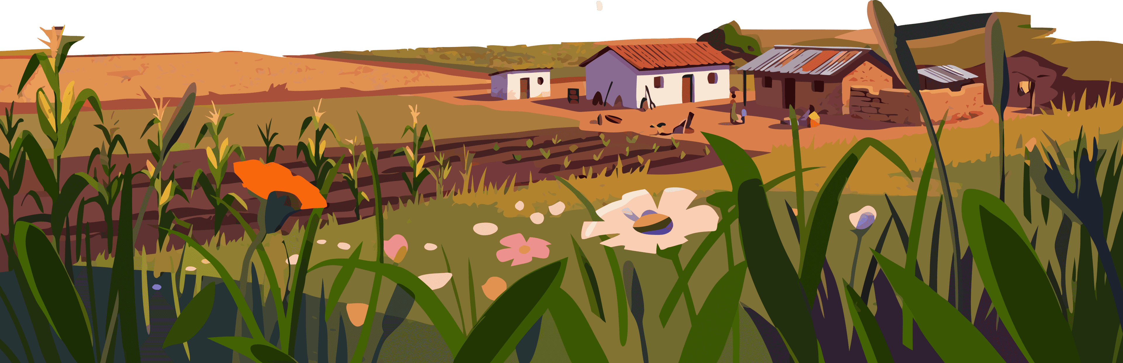 Aeroseeds village illustration