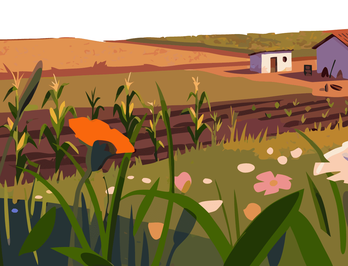 Aeroseeds village illustration mobile