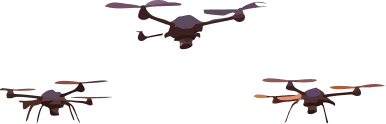 Survey drones