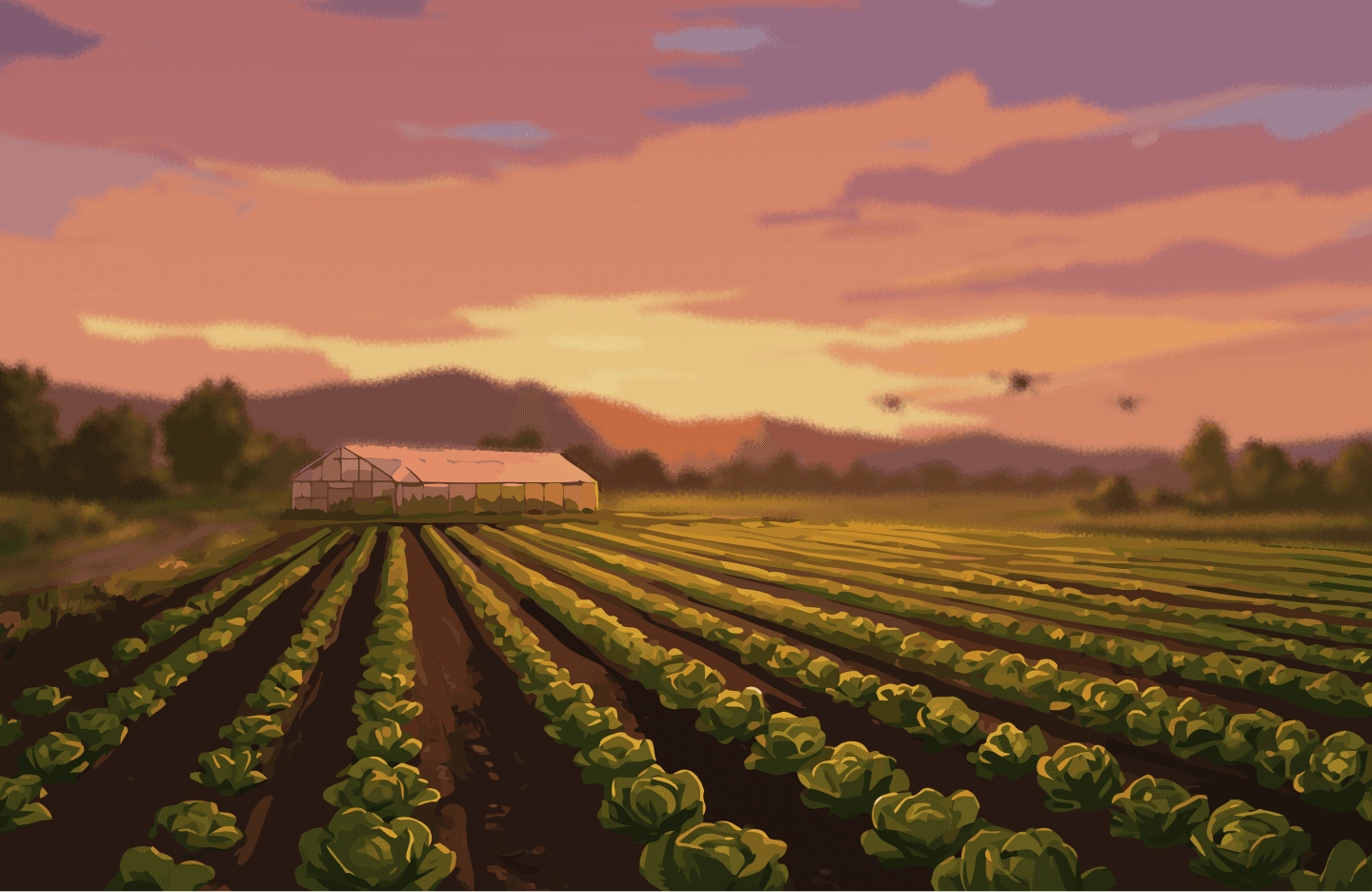 Sunset over an agricultural farm